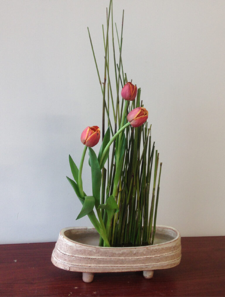 Pink tulips and reeds in shallow vase