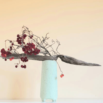 Peach arrangement with branches Arrangement with branches and red berries with a peach background